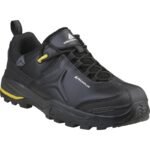 Delta Plus TW302 EH Safety Shoes