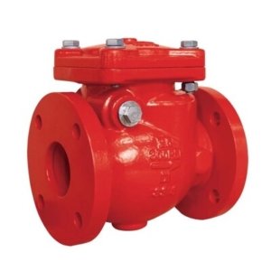 Non-Return Valve in Bangladesh