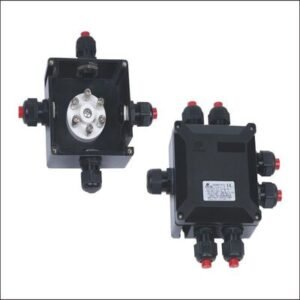 Explosion Proof Junction Boxes Stainless Steel in Bangladesh