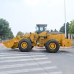 Ton Wheel Loader in Bangladesh