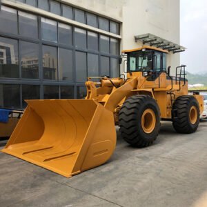 Ton Wheel Loader in Bangladesh