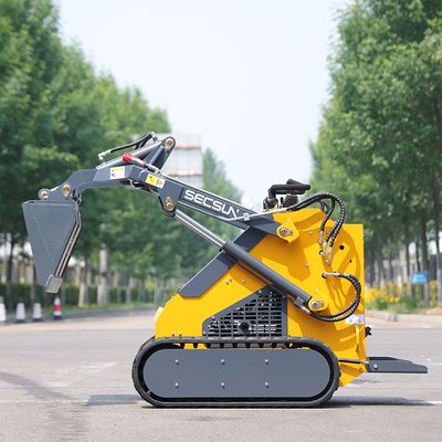 Crawler Skid Steer Loader in Bangladesh